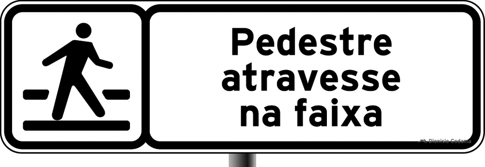 Placa Educativa 19