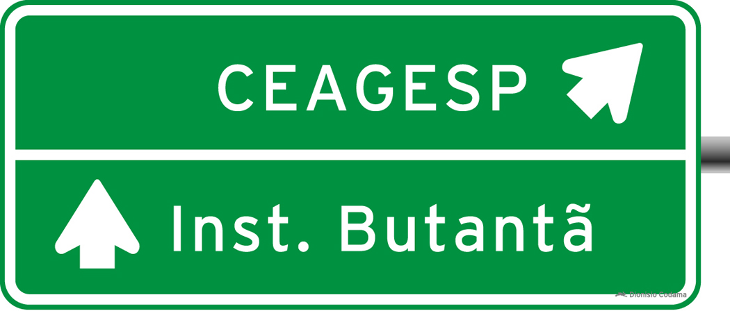 Placa indicativa de sentido (direcao) 1