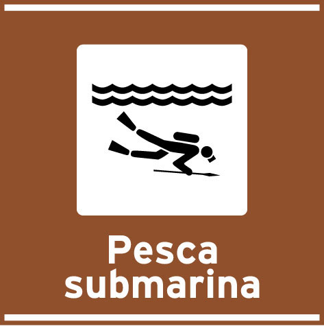 Pesca submarina